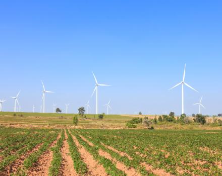 Photo designed by Freepik (www.freepik.com).