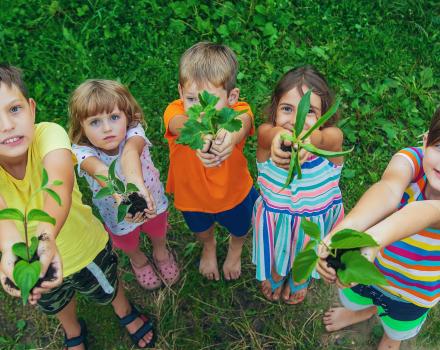 Children watch plant trees, hold in their hands. Selective focus. by yanadjana
