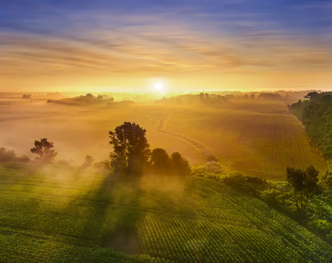 Sunrise over rural misty fields of corn, with trees casting long shadows in the fog. (Photo by JamesBrey on iStockPhoto)