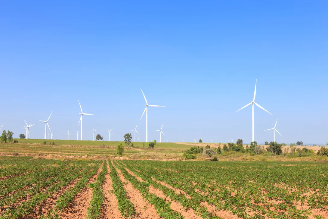 Photo designed by Freepik (www.freepik.com).