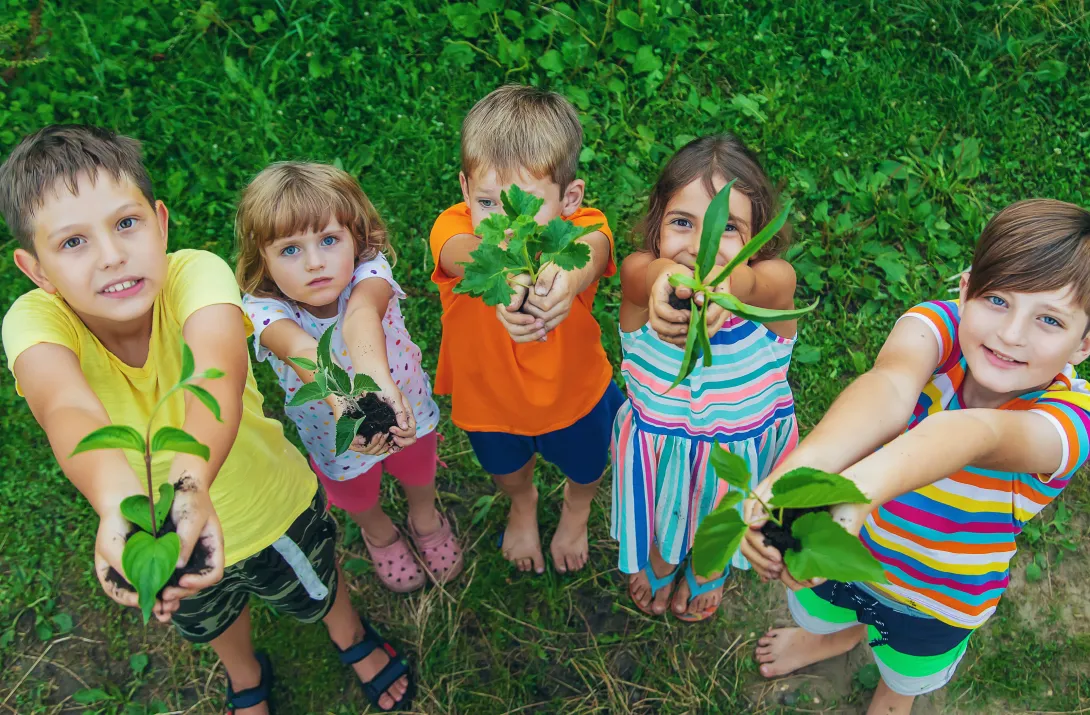 Children watch plant trees, hold in their hands. Selective focus. by yanadjana